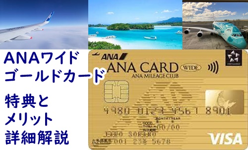 トップ　ブログサイズ