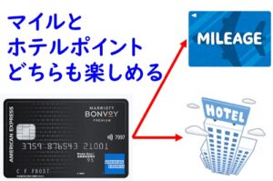 トップ