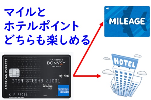 トップ